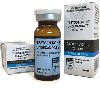Testosterone_Undecanoate